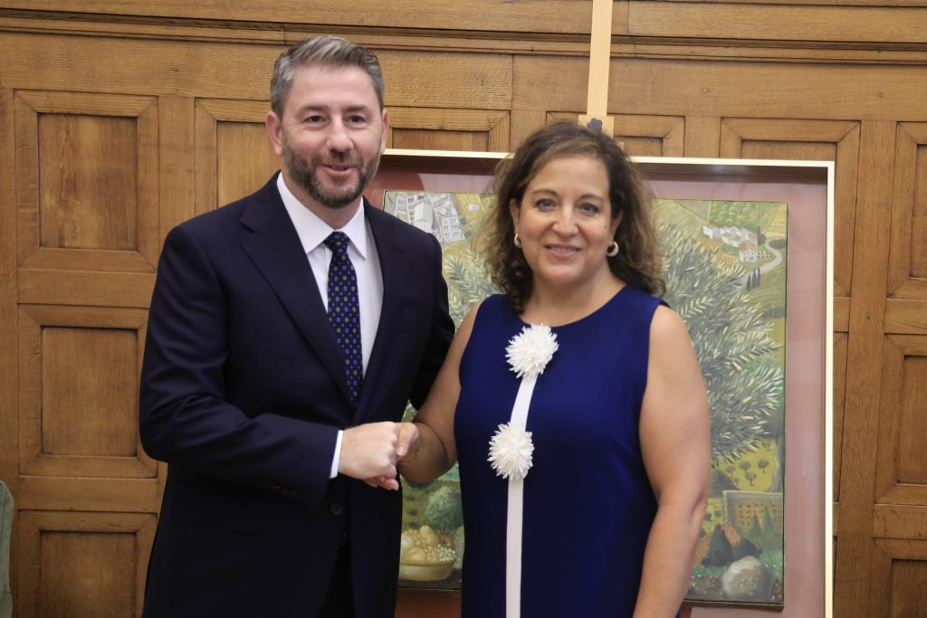 Συνάντηση Ανδρουλάκη με επικεφαλής των S&D: Η Ευρώπη πρέπει να έχει κοινή στρατηγική απέναντι στην Τουρκία