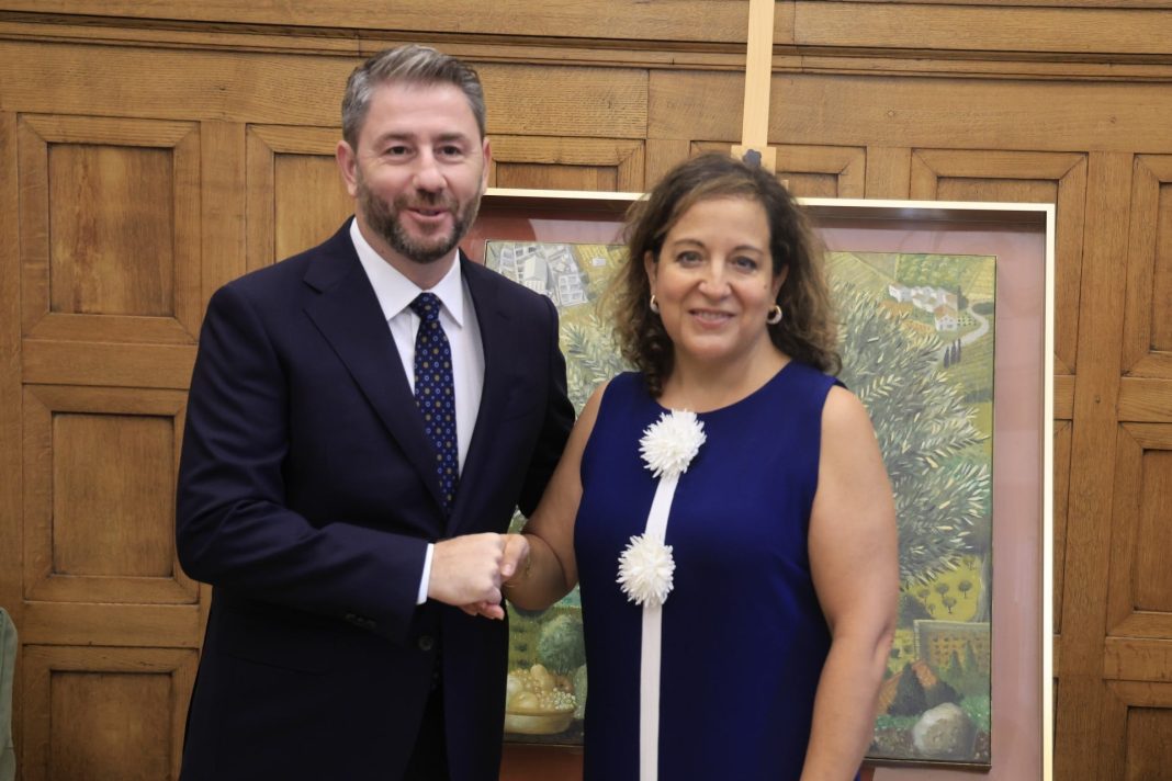 Συνάντηση Ανδρουλάκη με επικεφαλής των S&D: Η Ευρώπη πρέπει να έχει κοινή στρατηγική απέναντι στην Τουρκία