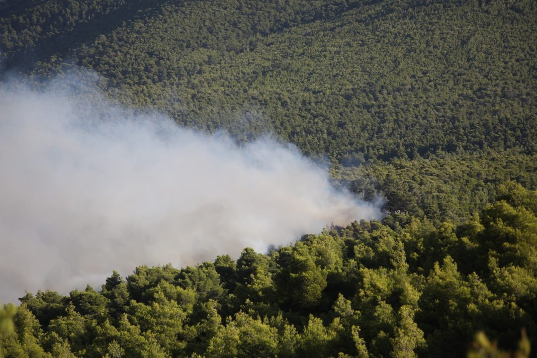 Κάρυστος Εύβοιας: Σύλληψη για πυρκαγιά από χρήση σκαπτικού μηχανήματος