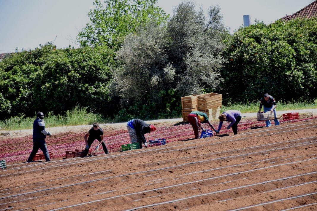 Θήβα: Εξανάγκαζαν εργάτες γης σε αδιάλειπτη εργασία χωρίς να τους καταβάλουν δεδουλευμένα