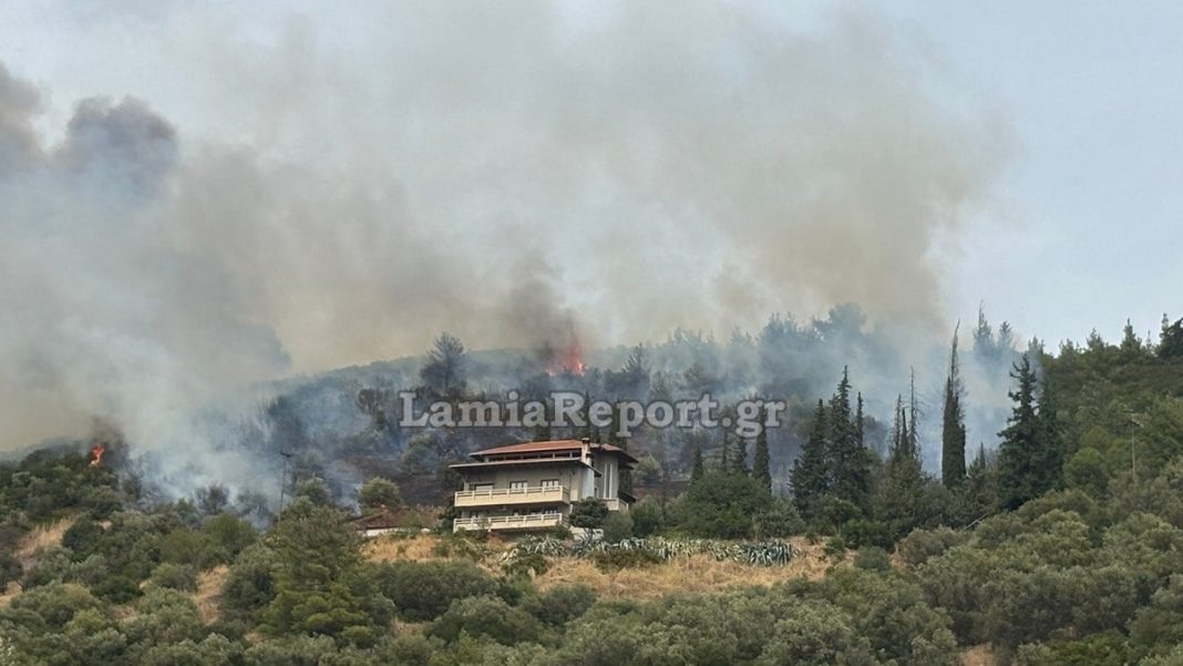 Φθιώτιδα: Φωτιά τώρα στην Πελασγία